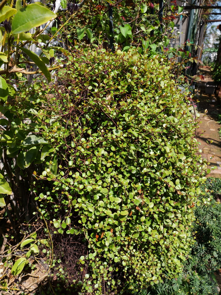 2025-04-04 11_33№(0042).JPG