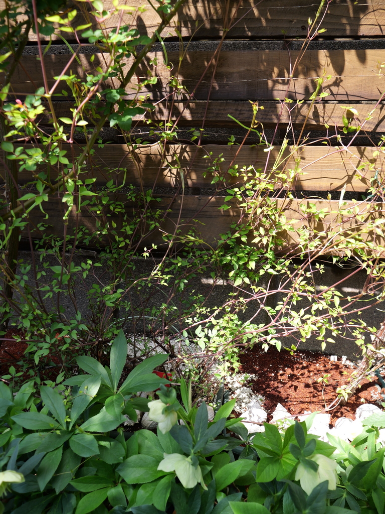 2025-04-04 11_38№(0057).JPG