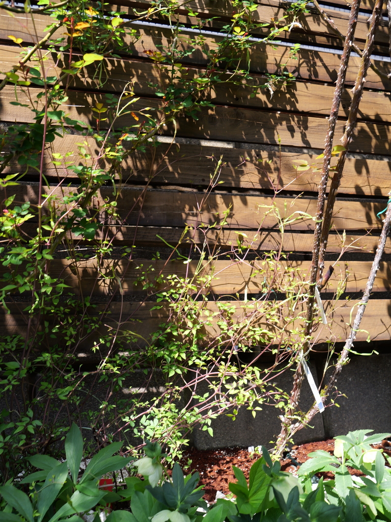 2025-04-04 11_39№(0059).JPG
