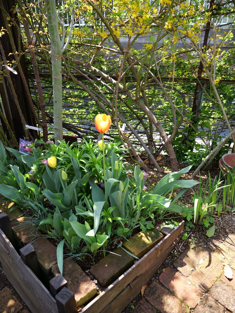 2025-04-04 11_50№(0096).JPG