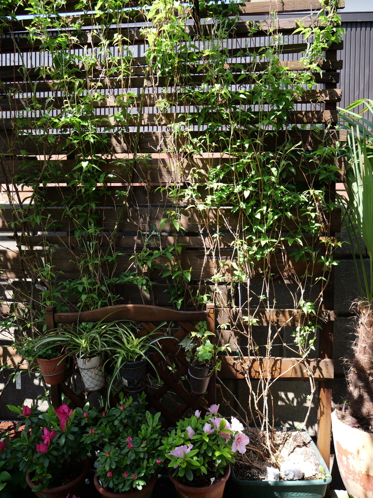 2025-04-04 11_54№(0107).JPG