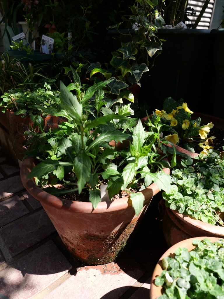2025-04-04 12_07№(0129).JPG