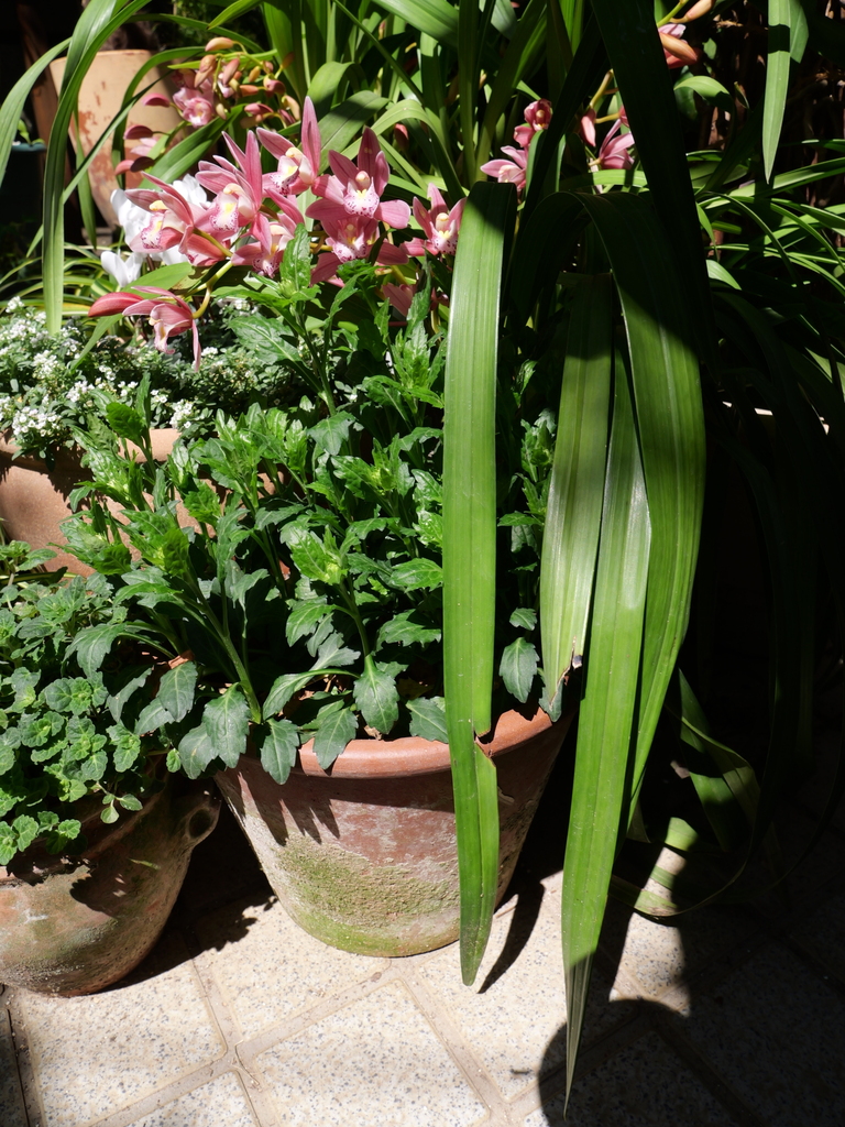 2025-04-04 12_07№(0132).JPG