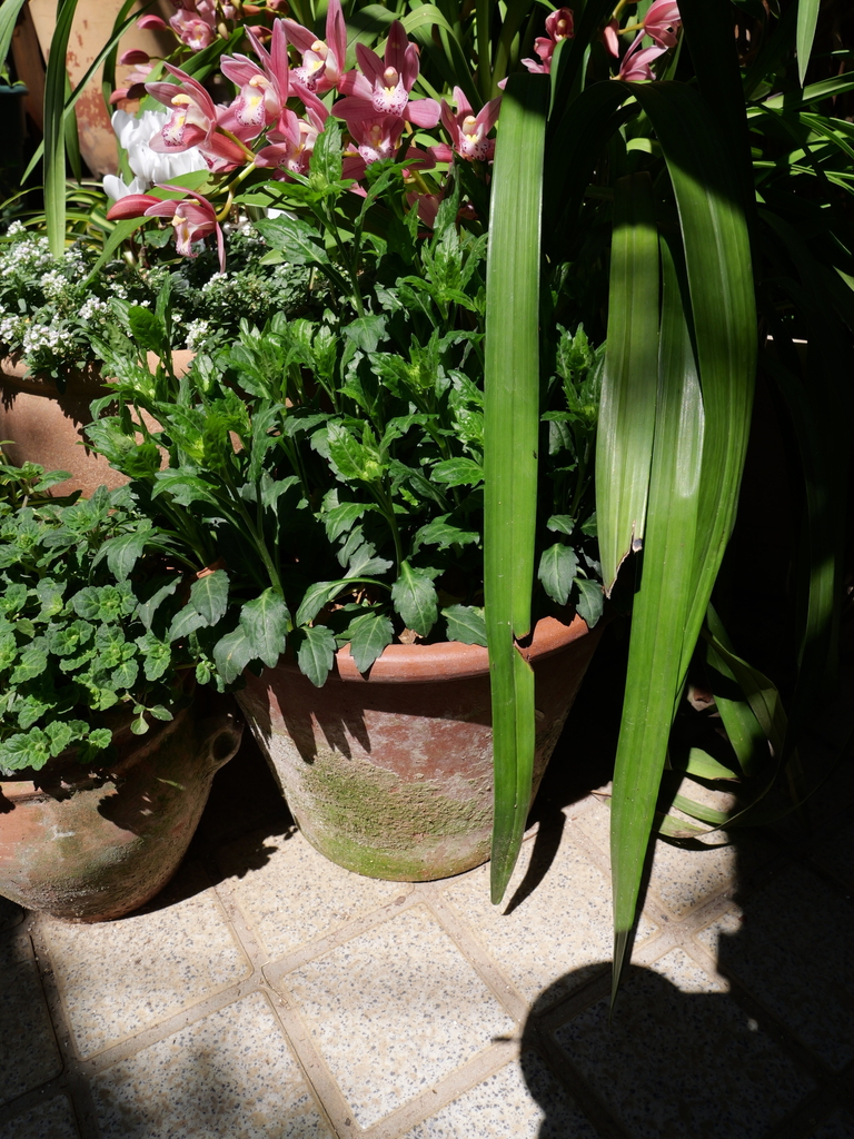 2025-04-04 12_08№(0133).JPG