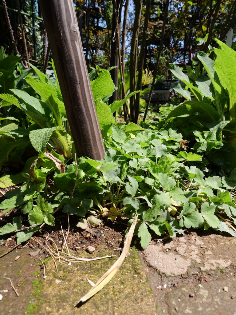 2025-04-04 12_11№(0144).JPG