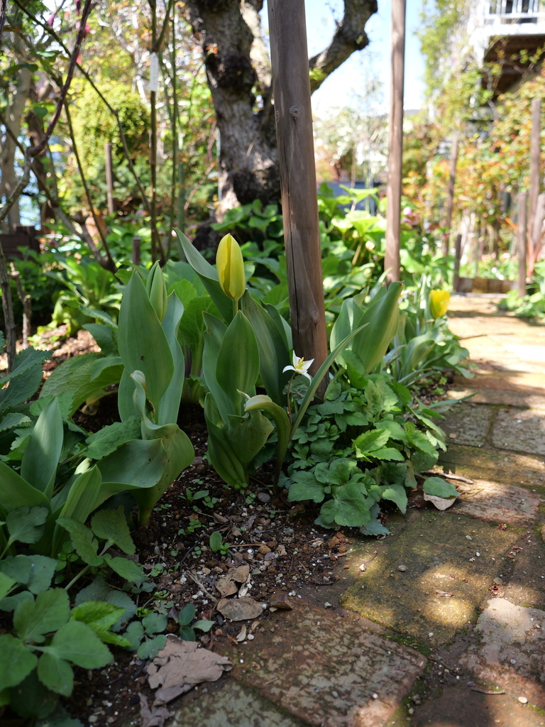 2025-04-04 12_12№(0147).JPG