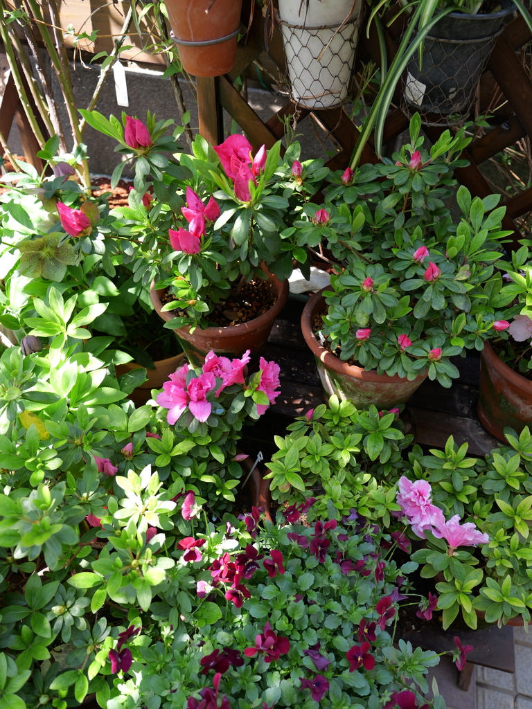 2025-04-04 12_24№(0184).JPG