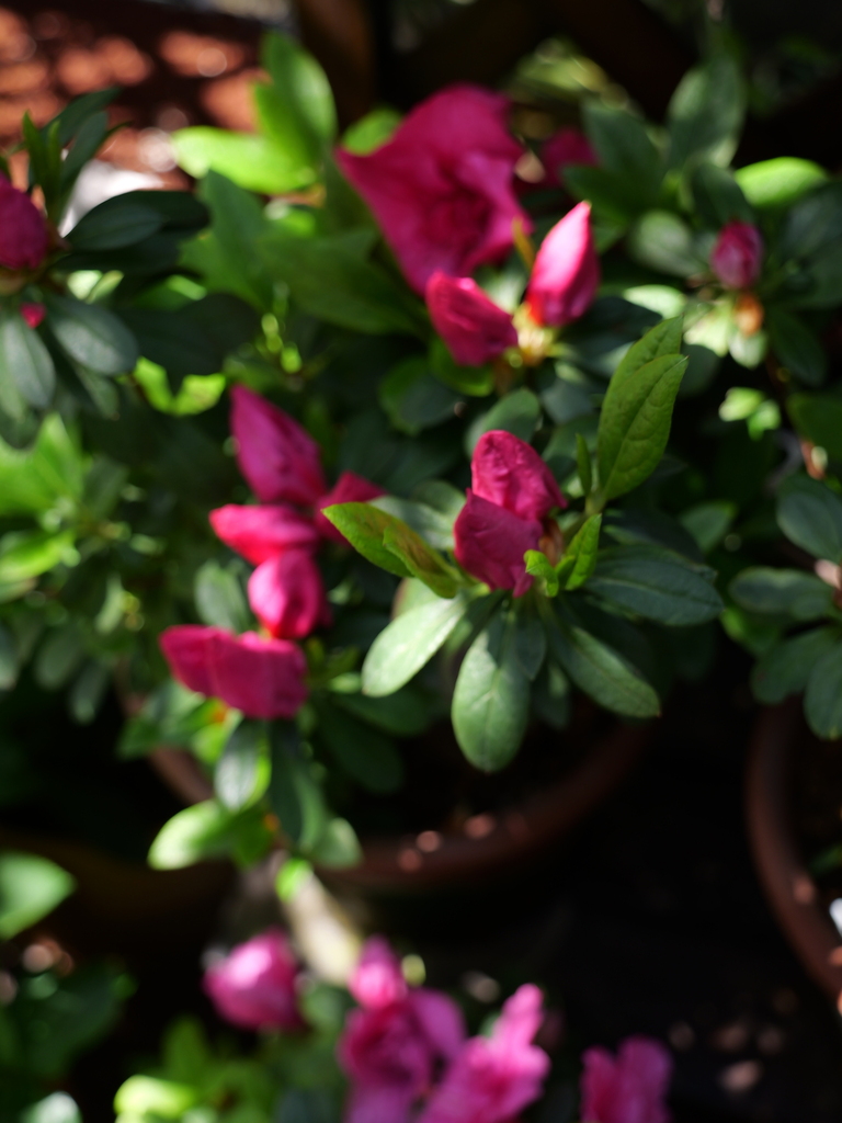 2025-04-04 12_24№(0191).JPG