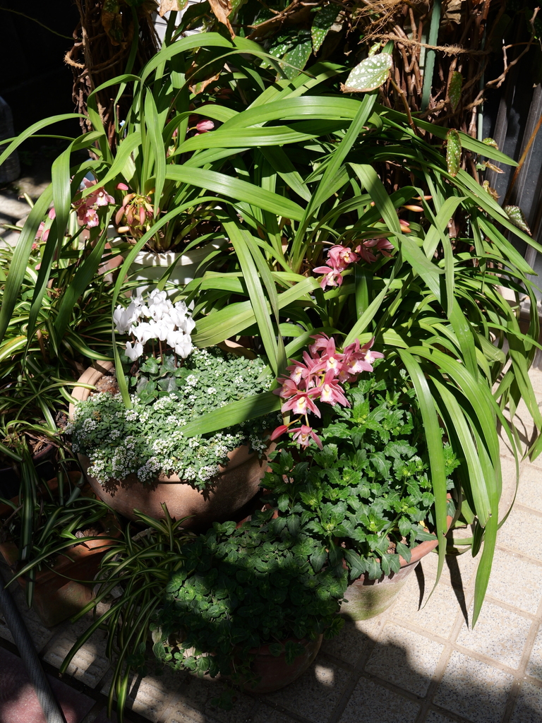 2025-04-04 12_24№(0194).JPG