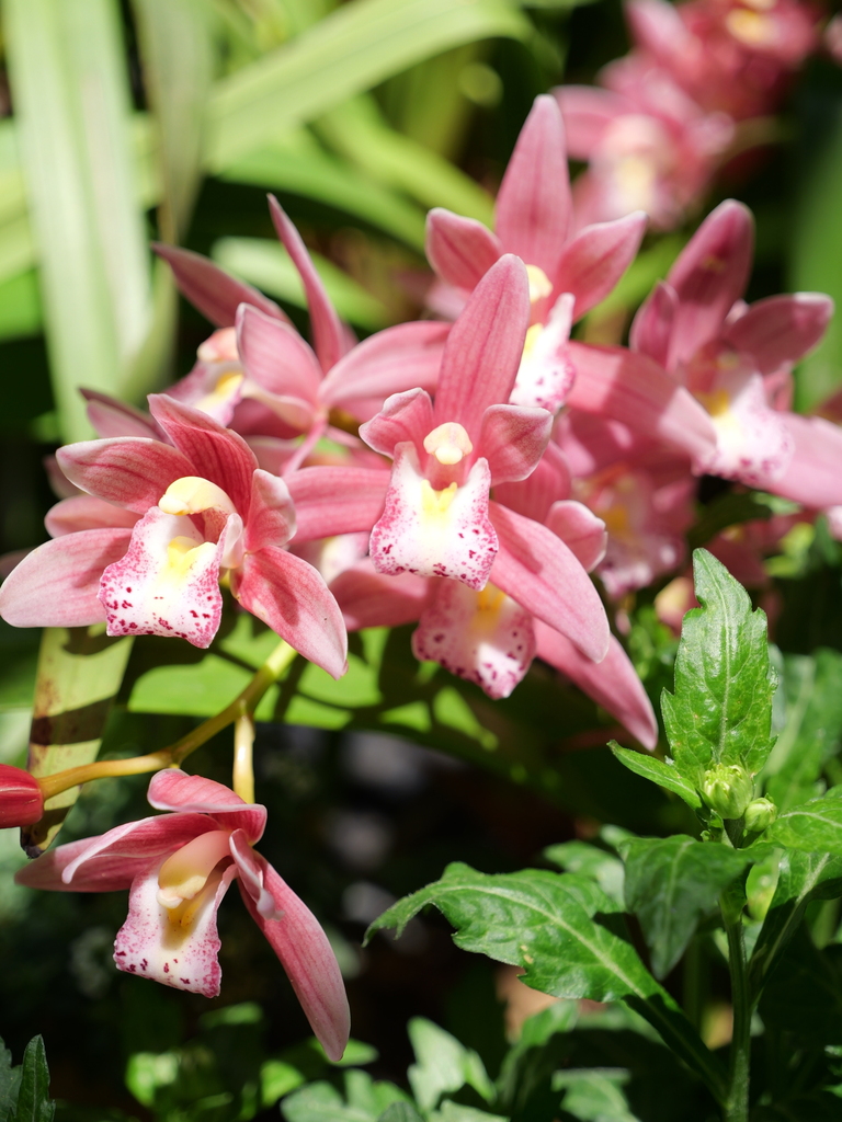 2025-04-04 12_24№(0196).JPG
