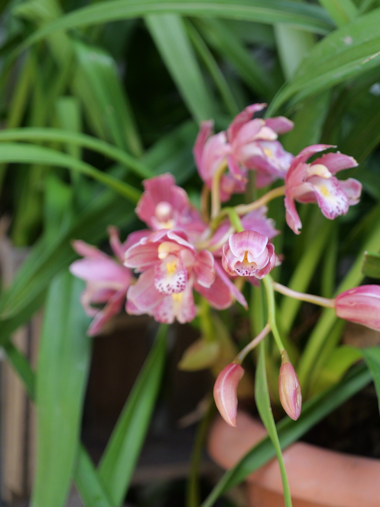 2025-04-04 12_25№(0201).JPG