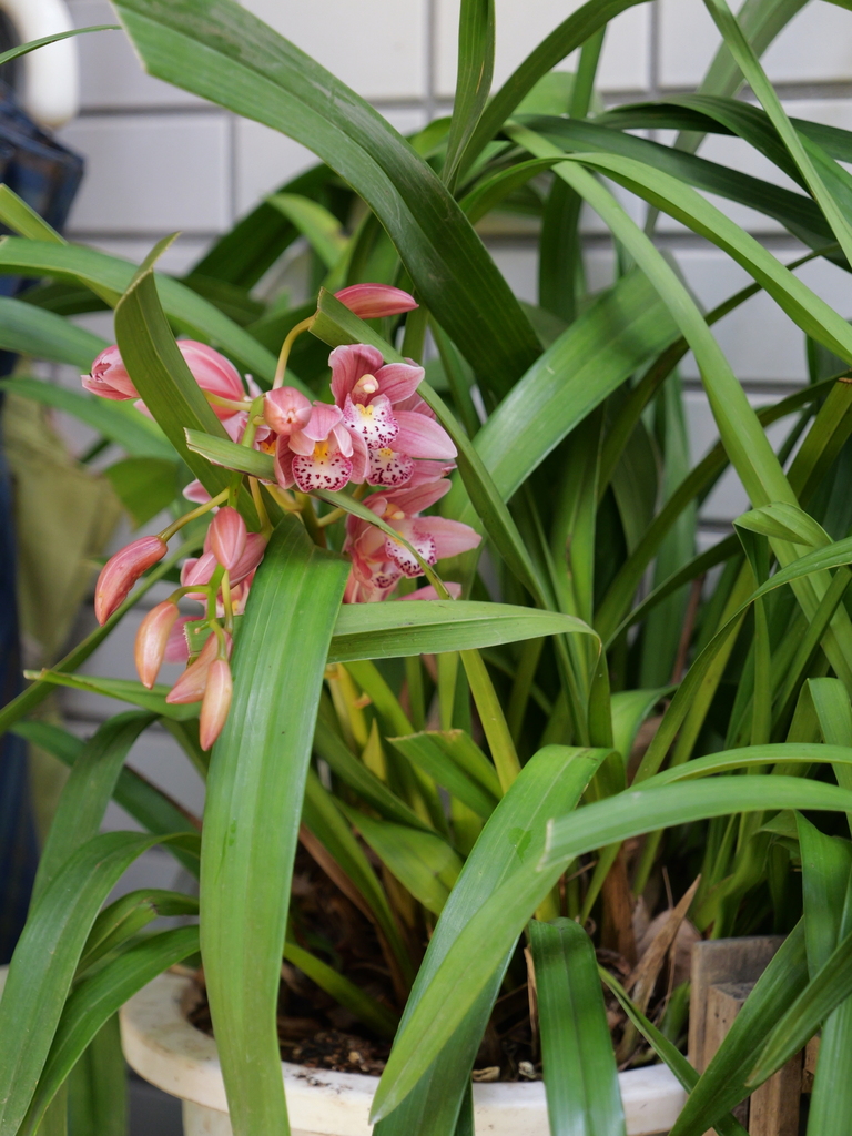 2025-04-04 12_25№(0202).JPG