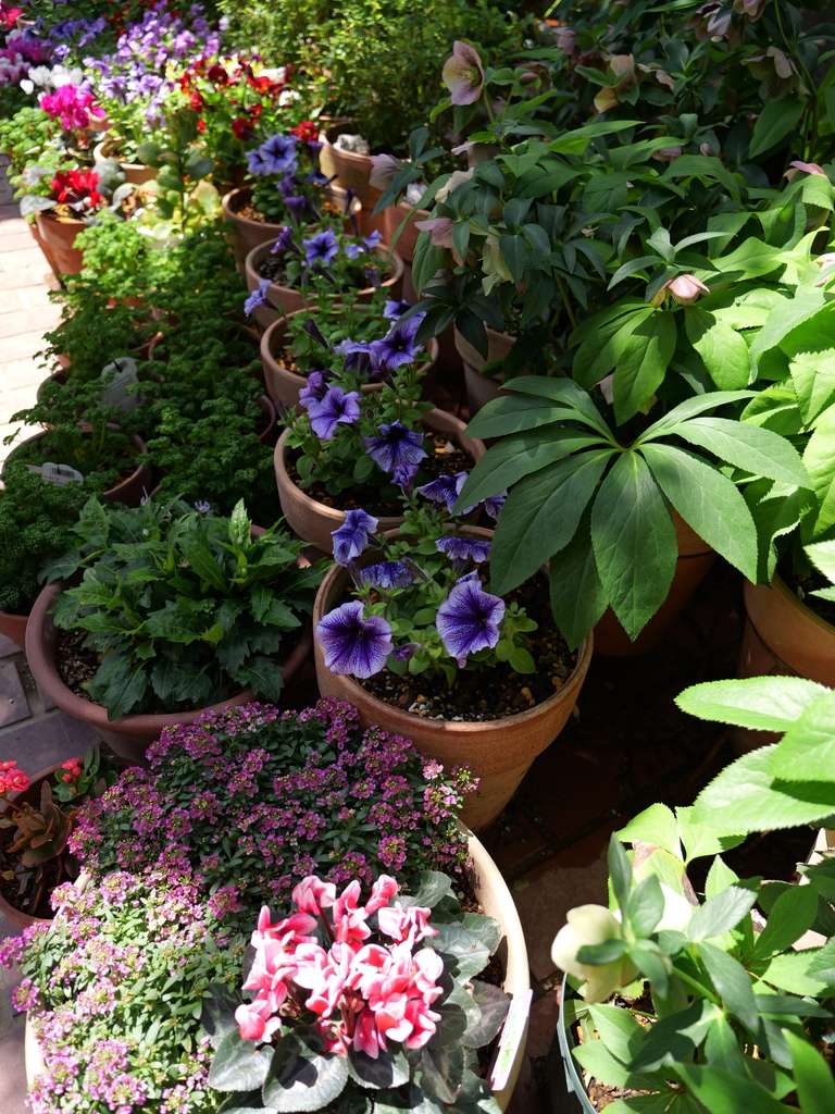 2025-04-04 12_25№(0214).JPG