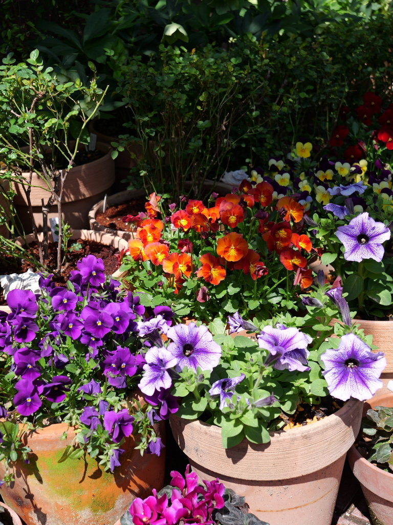 2025-04-04 12_25№(0221).JPG