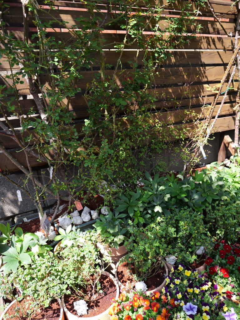 2025-04-04 12_25№(0226).JPG