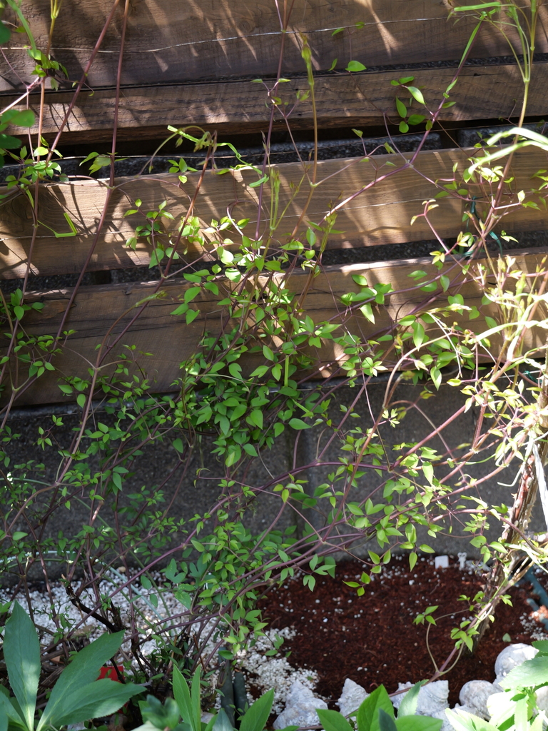 2025-04-04 12_25№(0228).JPG