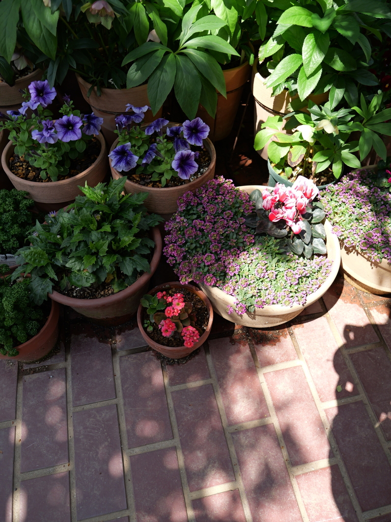 2025-04-04 12_26№(0231).JPG