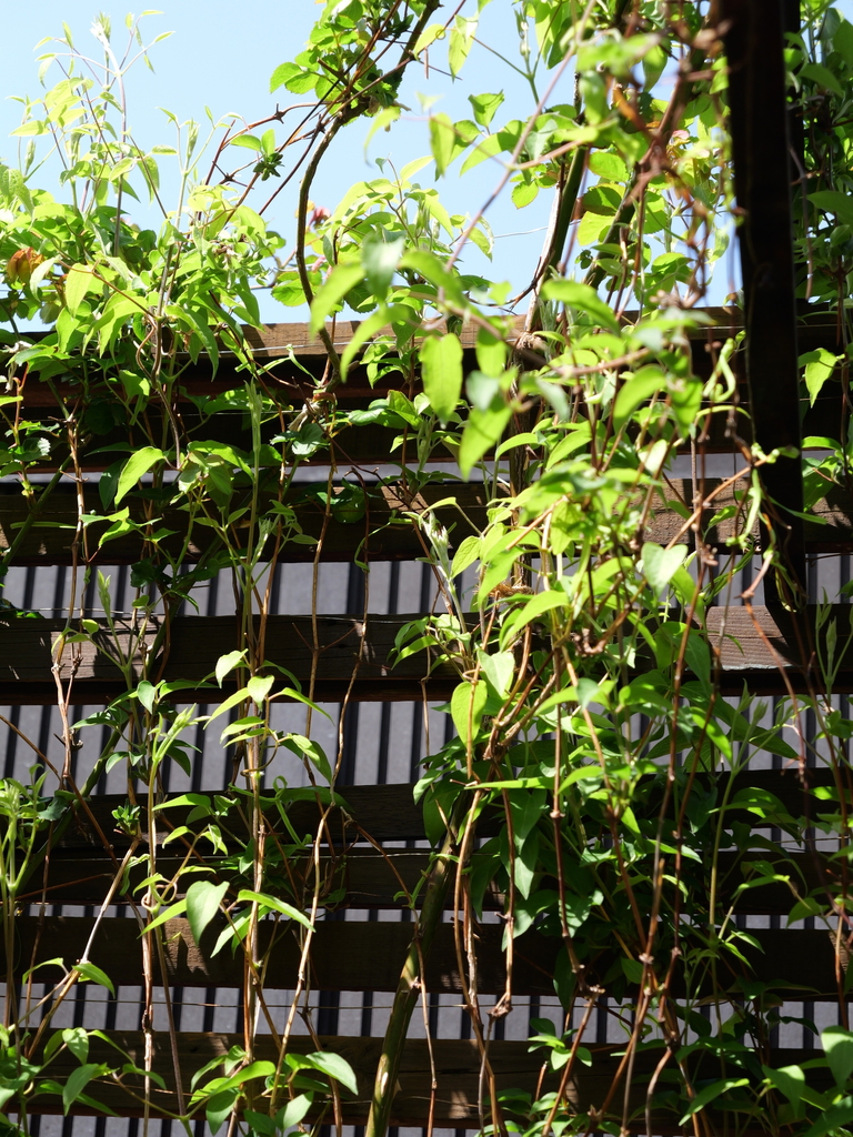 2025-04-04 12_26№(0243).JPG