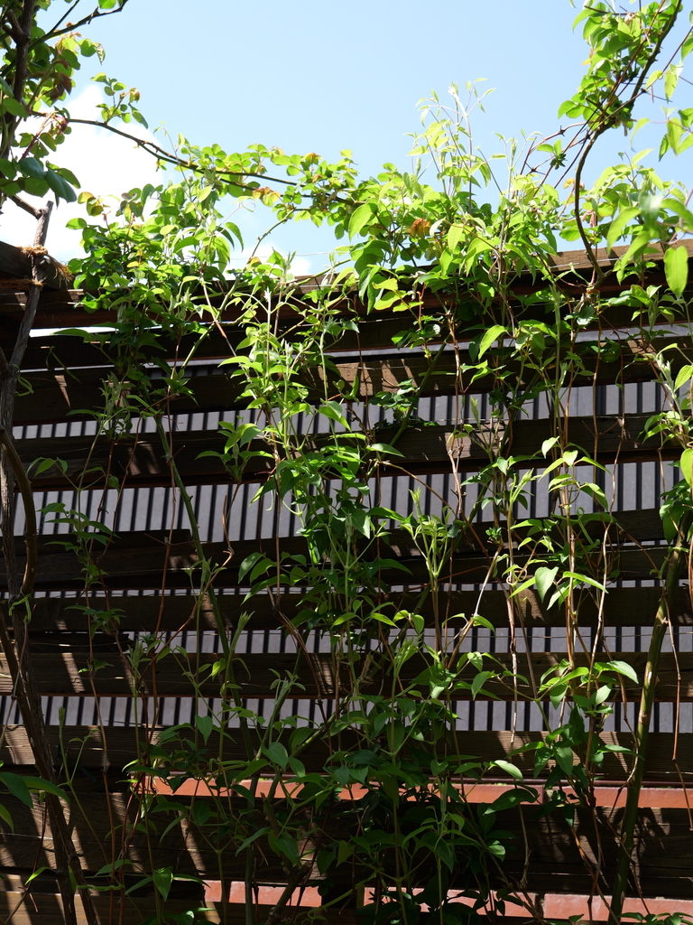 2025-04-04 12_26№(0244).JPG