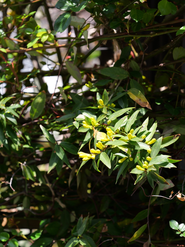 2025-04-04 12_28№(0272).JPG