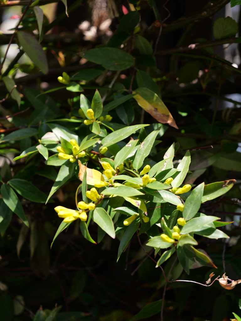 2025-04-04 12_28№(0273).JPG