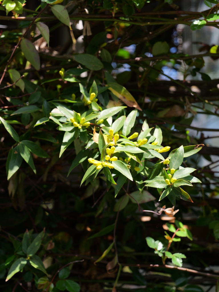 2025-04-04 12_28№(0275).JPG