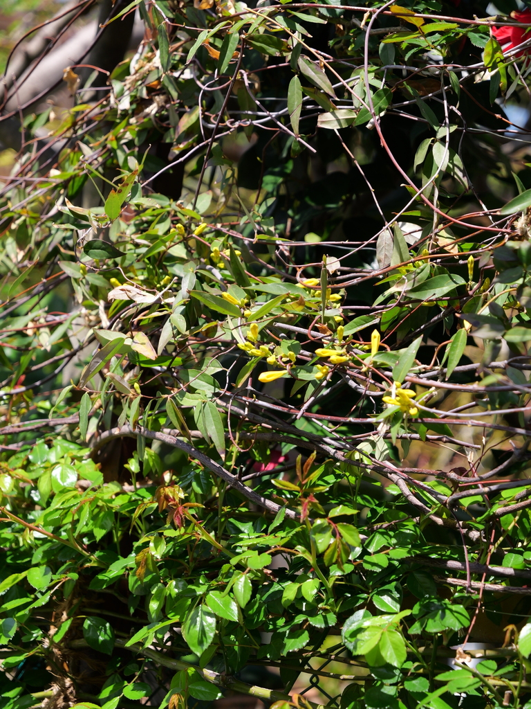2025-04-04 12_28№(0279).JPG