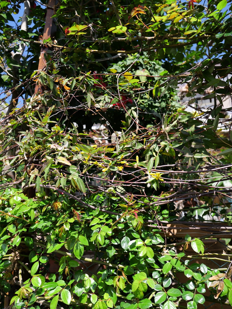 2025-04-04 12_28№(0280).JPG