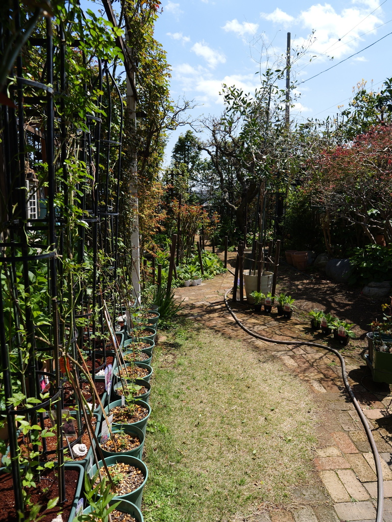 2025-04-04 12_29№(0291).JPG
