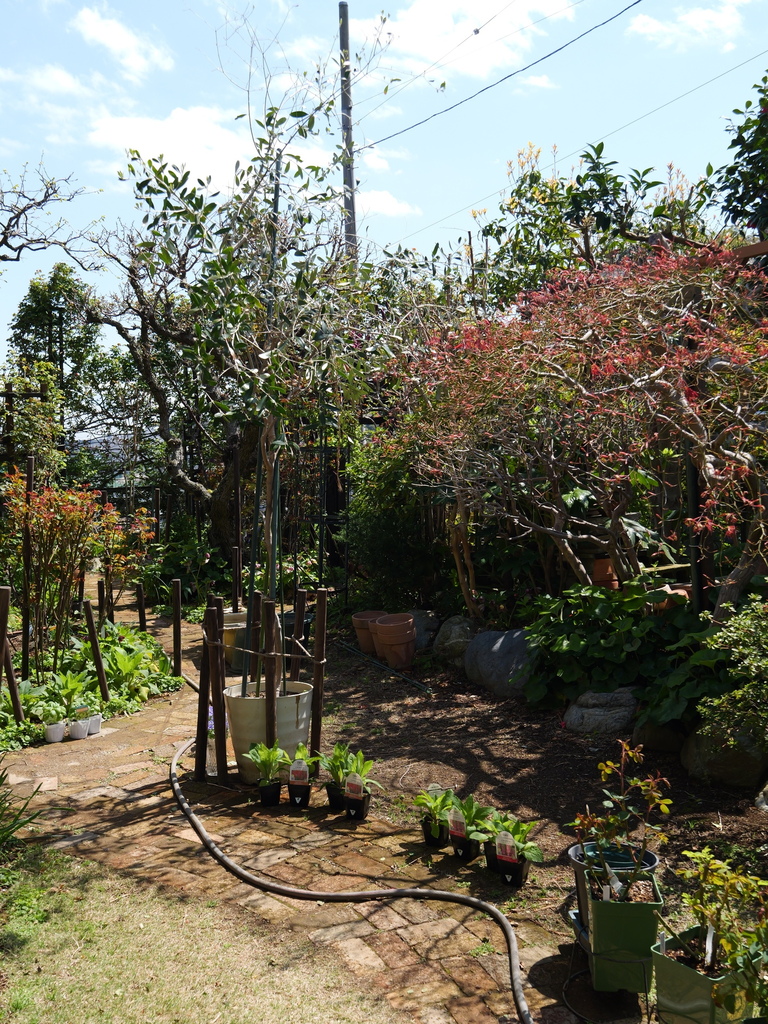 2025-04-04 12_29№(0292).JPG