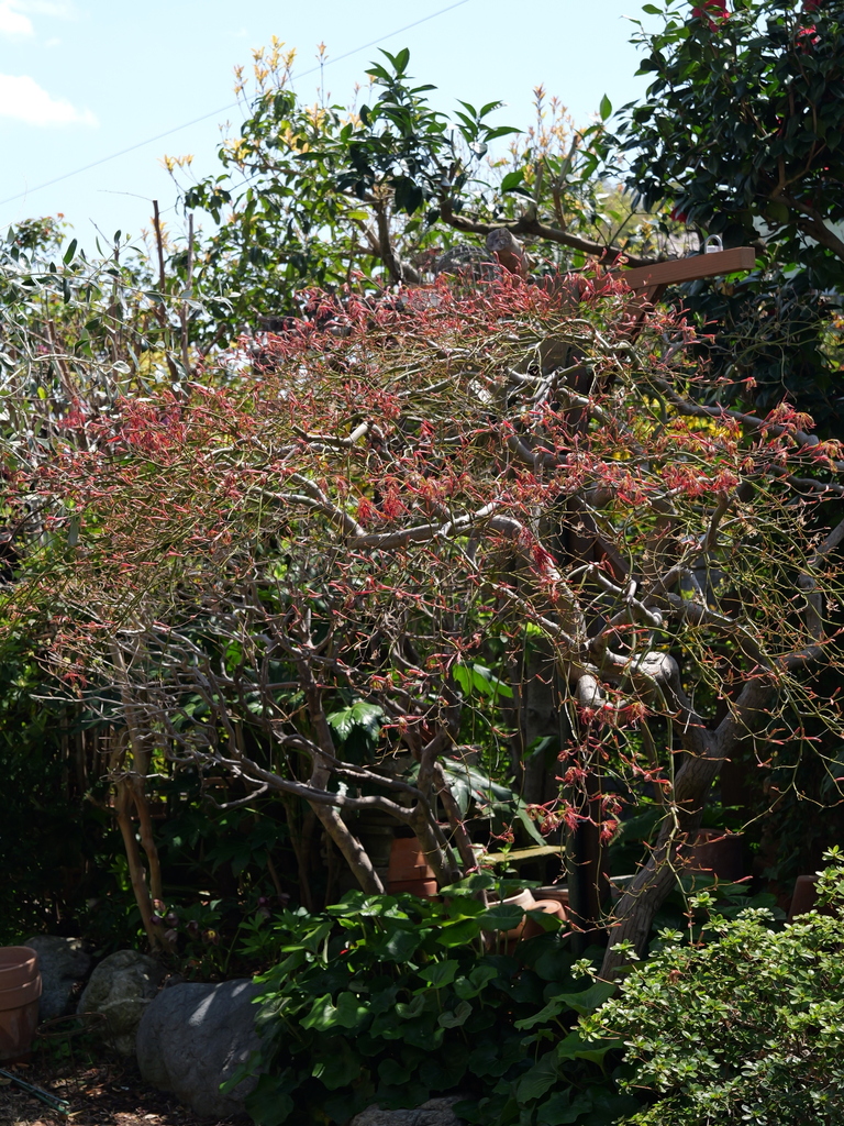 2025-04-04 12_29№(0293).JPG