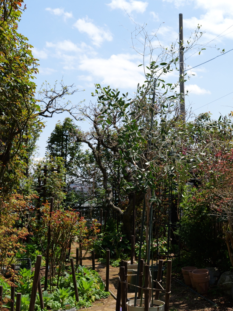 2025-04-04 12_29№(0295).JPG