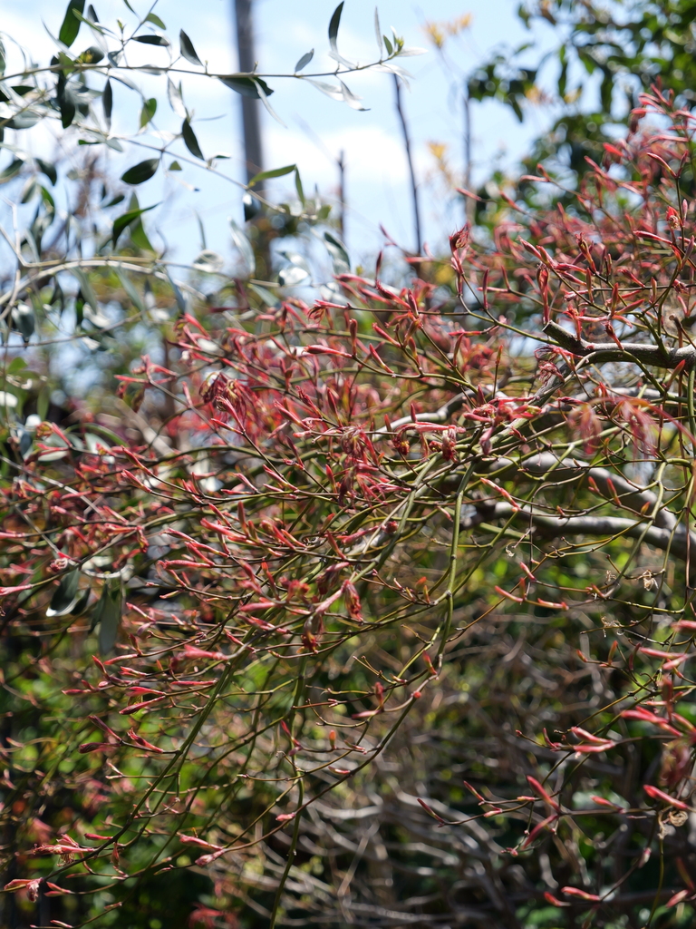 2025-04-04 12_29№(0299).JPG