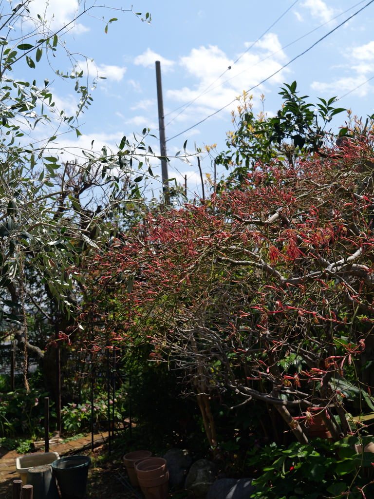 2025-04-04 12_29№(0300).JPG