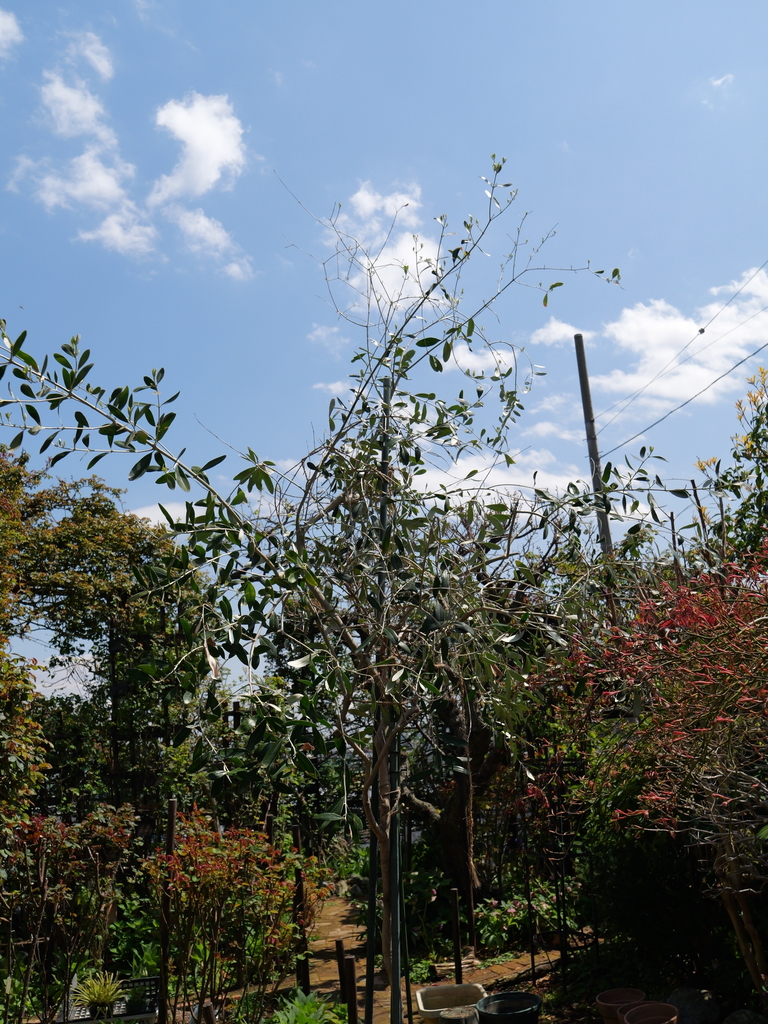 2025-04-04 12_29№(0301).JPG