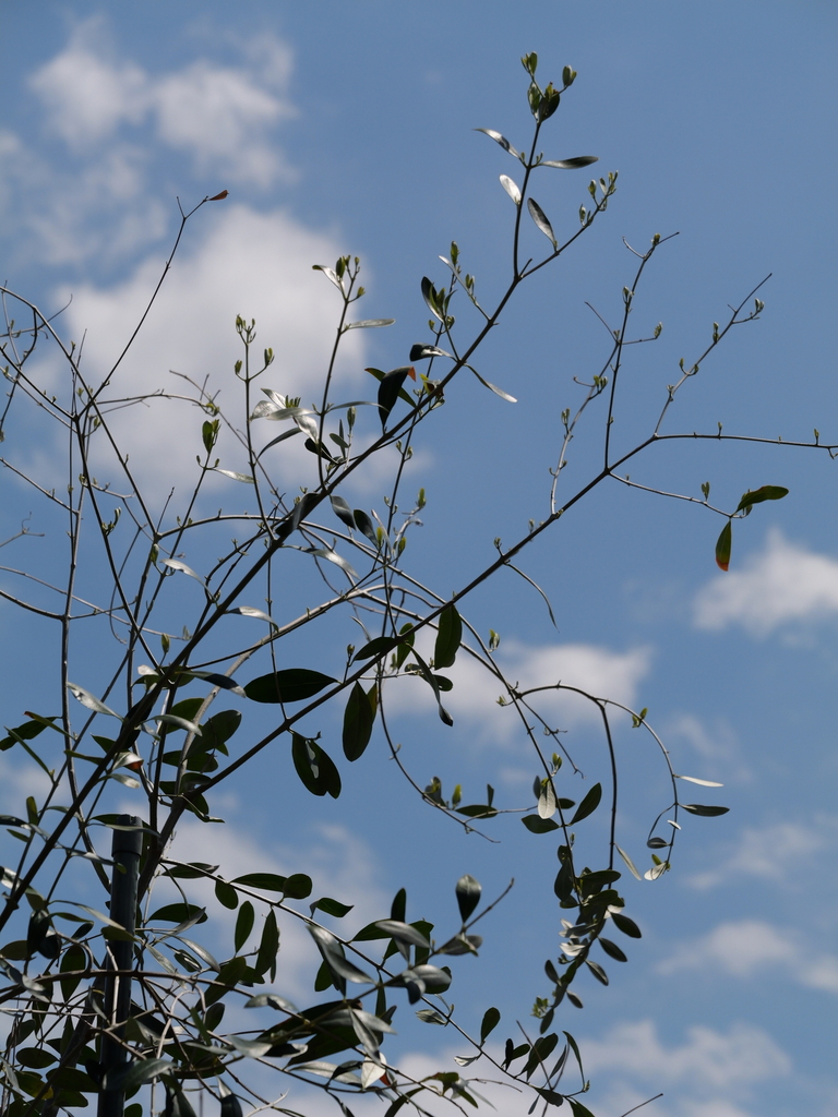 2025-04-04 12_29№(0302).JPG