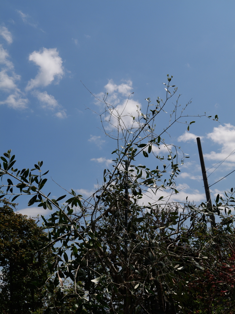 2025-04-04 12_29№(0303).JPG