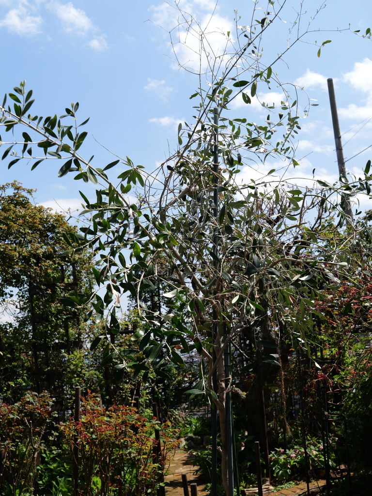 2025-04-04 12_29№(0304).JPG