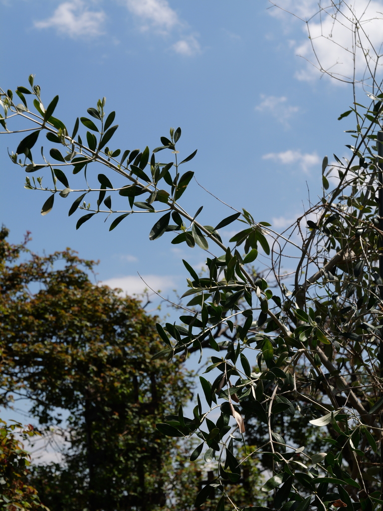 2025-04-04 12_29№(0305).JPG