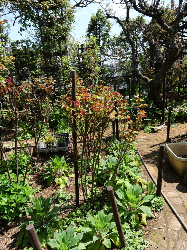 2025-04-04 12_31№(0341).JPG