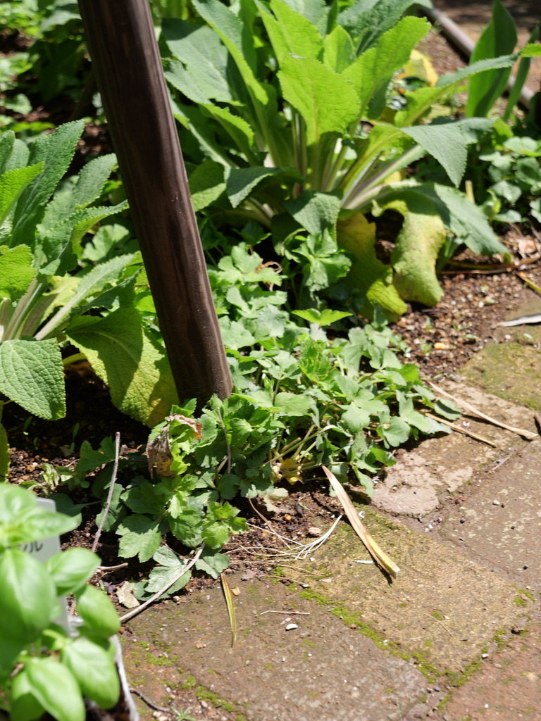 2025-04-04 12_31№(0346).JPG