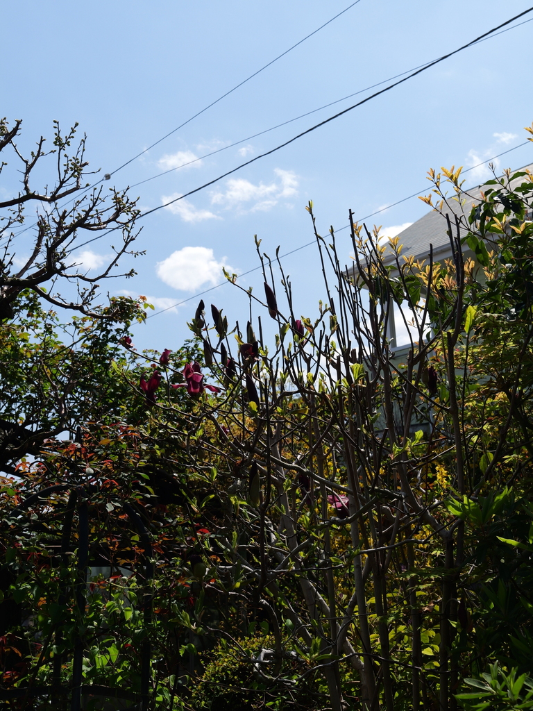 2025-04-04 12_31№(0368).JPG
