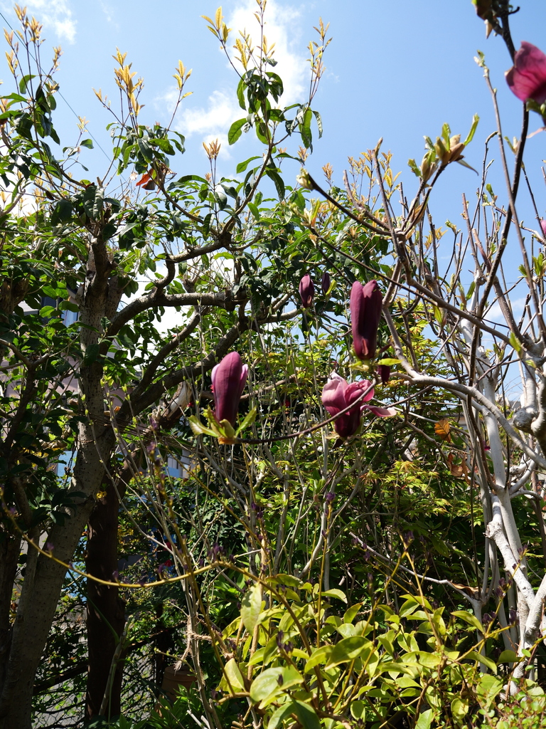 2025-04-04 12_32№(0372).JPG