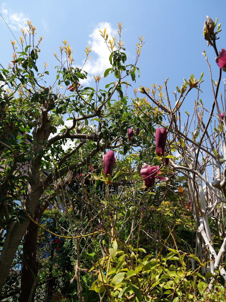 2025-04-04 12_32№(0373).JPG