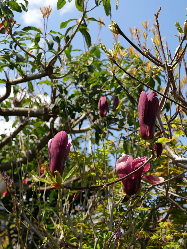 2025-04-04 12_32№(0374).JPG