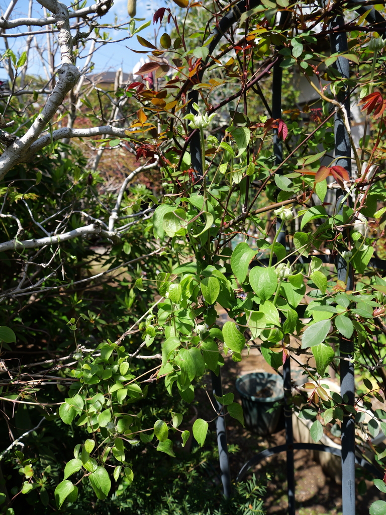 2025-04-04 12_32№(0380).JPG