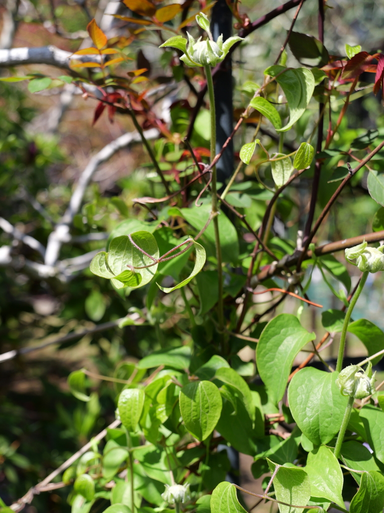2025-04-04 12_32№(0381).JPG