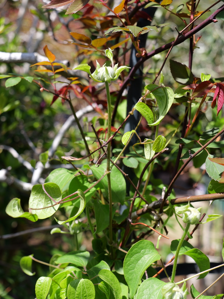 2025-04-04 12_32№(0383).JPG