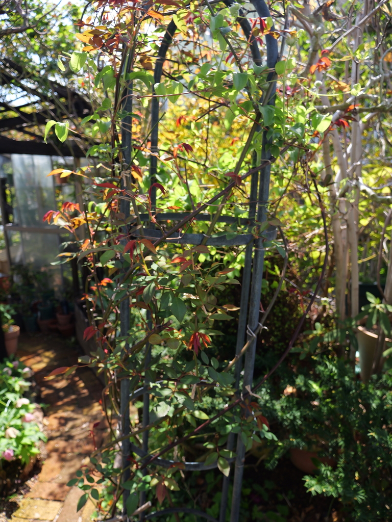 2025-04-04 12_32№(0388).JPG
