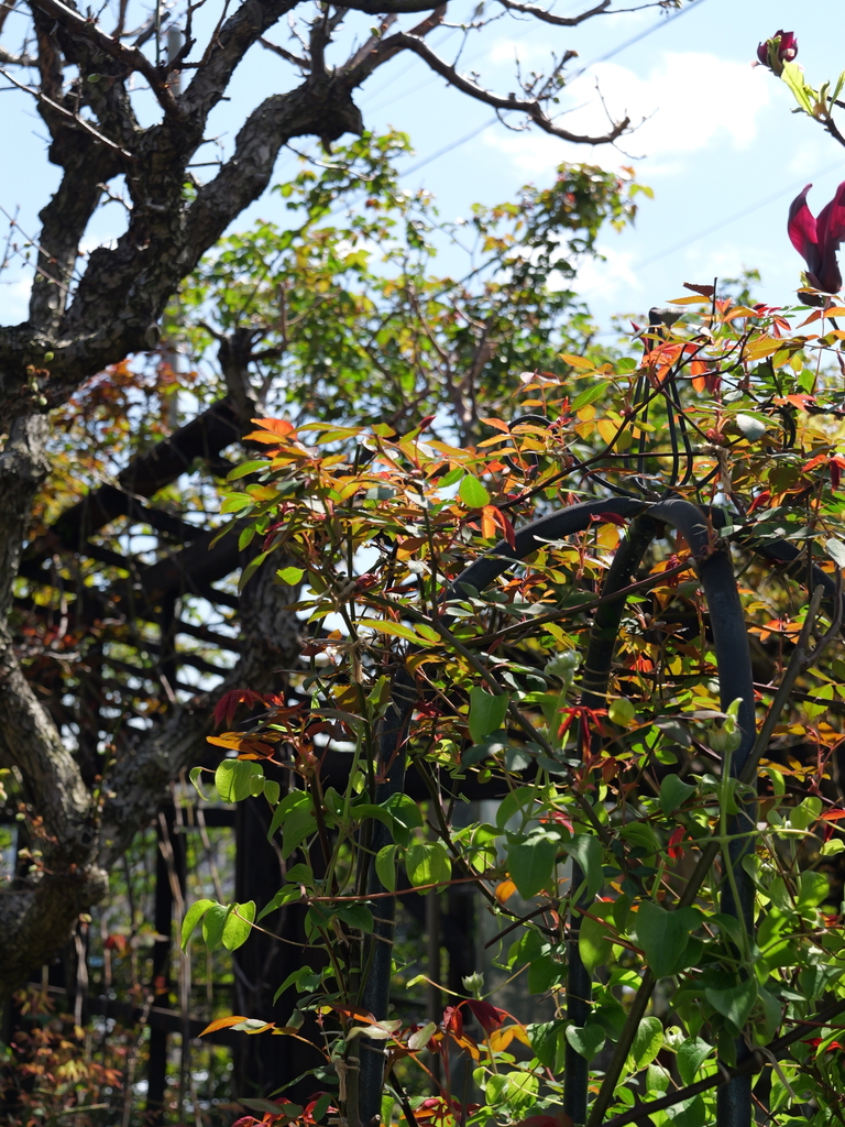 2025-04-04 12_32№(0391).JPG